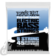 Ernie Ball P02810 FLATWOUND BASS 5-String 45-130