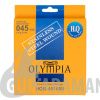 Olympia HQB45100S HQ Stainless Wound Steel Long Scale 45-100