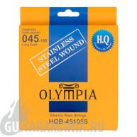 Olympia HQB45100S HQ Stainless Wound Steel Long Scale 45-100