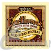 Ernie Ball P02043 Earthwood 80/20 Bronze Silk & Regular 13-56