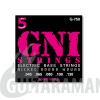 GNI G750 45-130