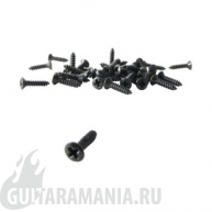 Ernie Ball P04242 PICKGUARD SCREWS BLACK BAG OF 40