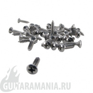 Ernie Ball P04241 PICKGUARD SCREWS NICKEL BAG OF 40