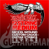 Ernie Ball P02236 12-String Medium Electric Nickel Wound 11-11. 52-28.