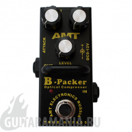 AMT B-Packer