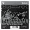 D`ADDARIO EJ31 PRO-ARTE RECTIFIED TREBLES, HARD TENSION 29-44