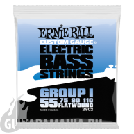 Ernie Ball P02802 FLATWOUND BASS GROUP I 55-110